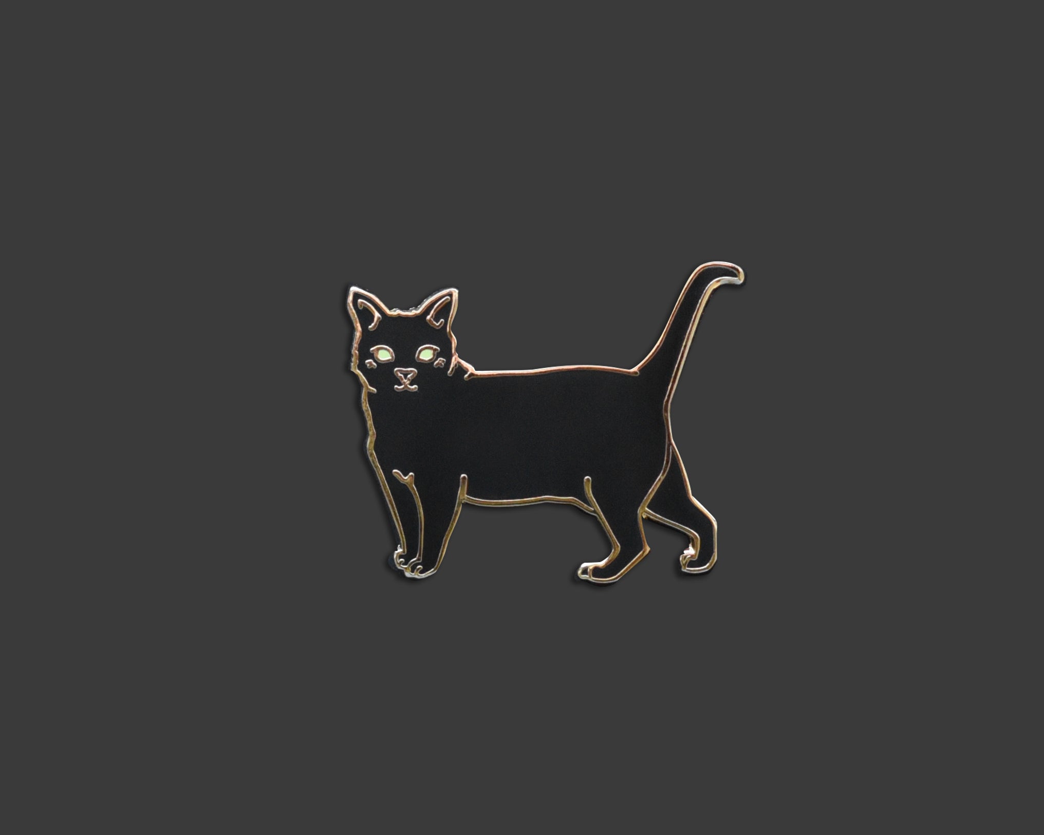 Black Cat Pin