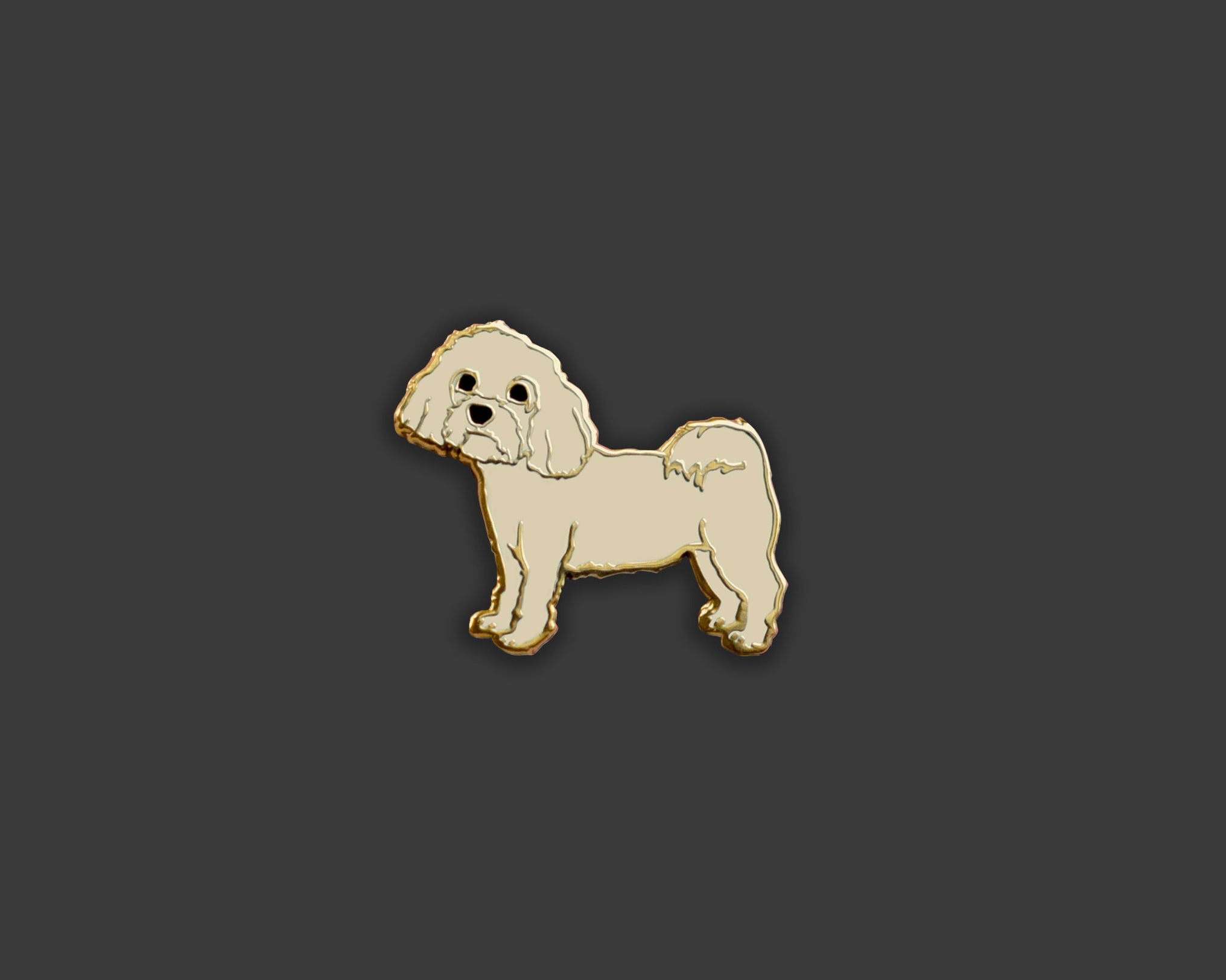 Cavachon Pin