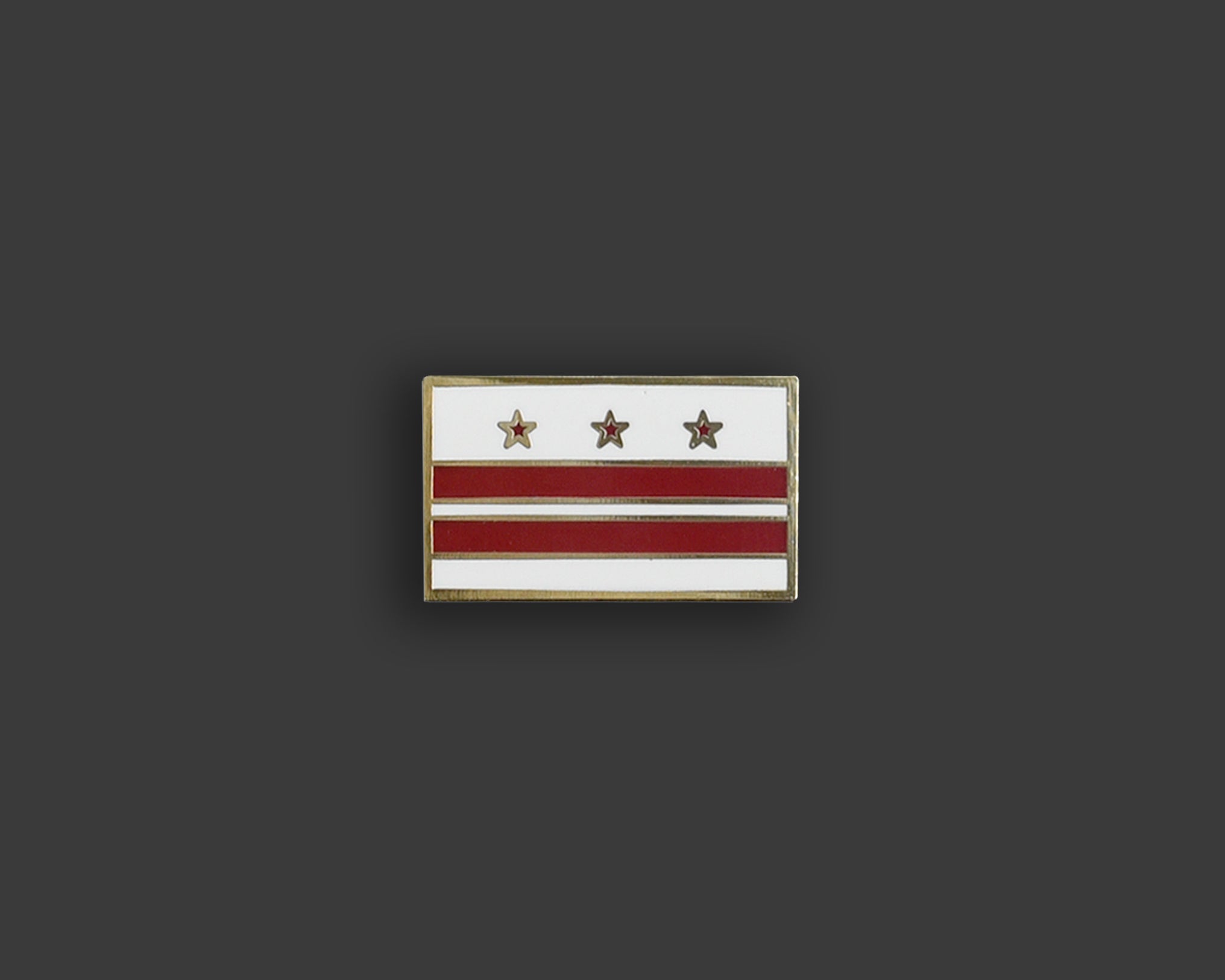 Washington, DC District of Columbia Flag Pin