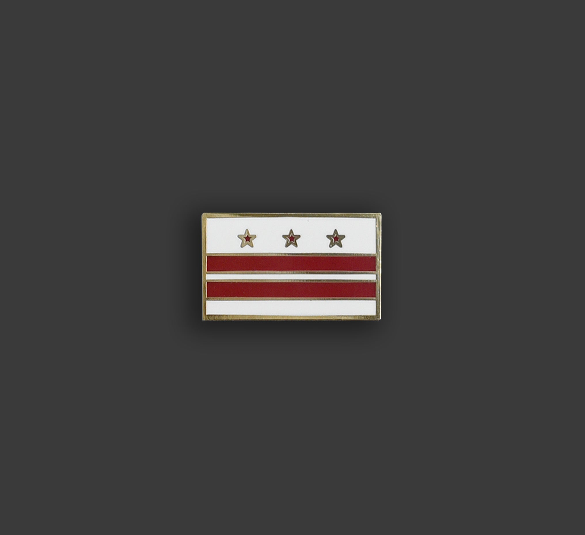 Washington, DC District of Columbia Flag Pin