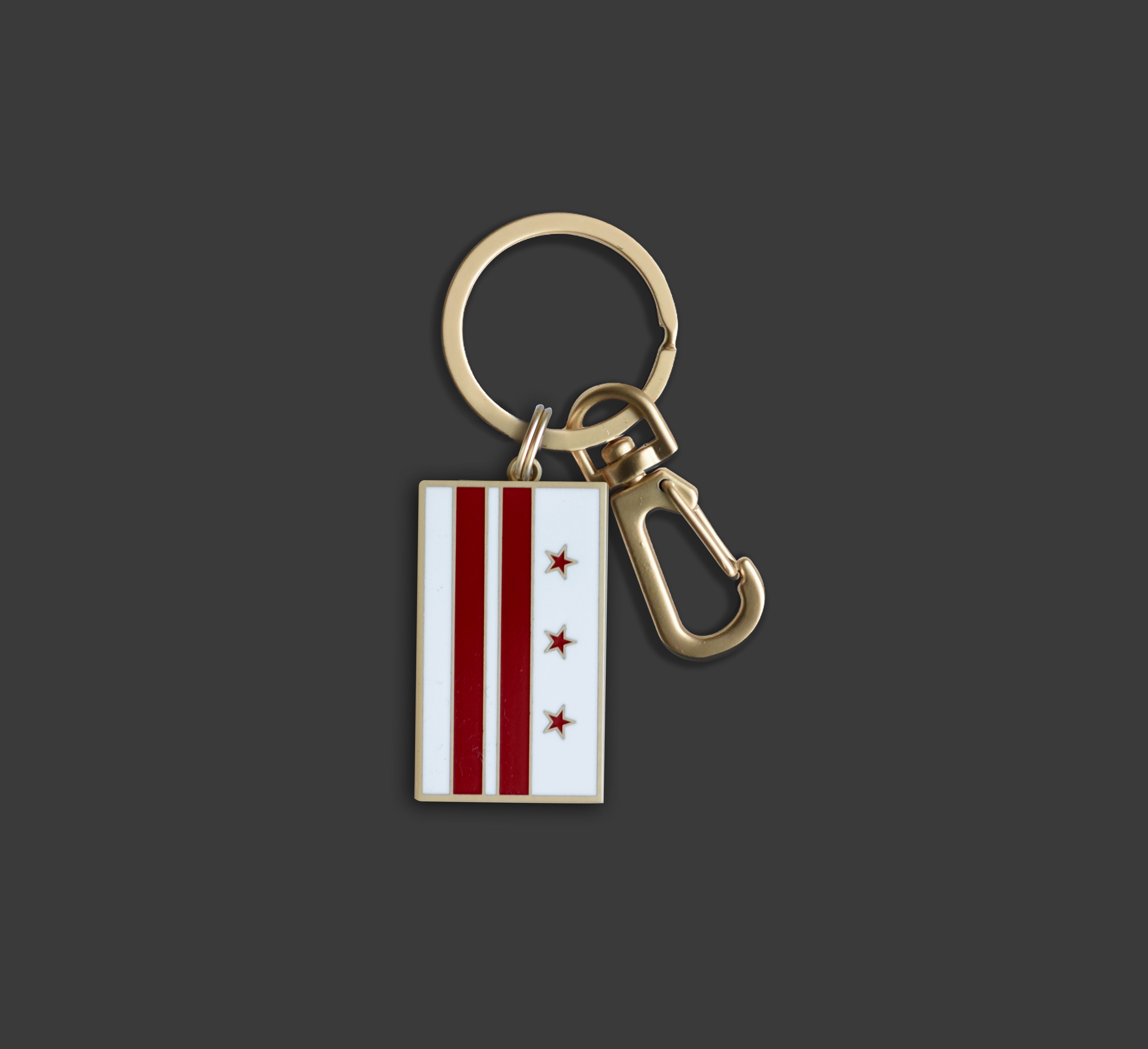 Washington DC District of Columbia Flag Keychain