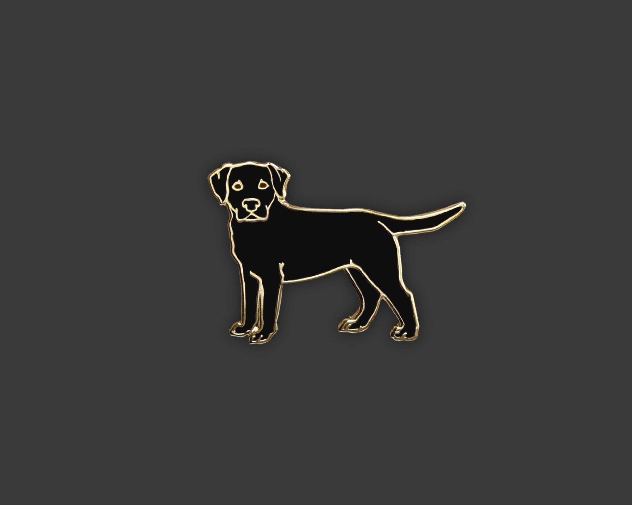 Labrador - Black Pin